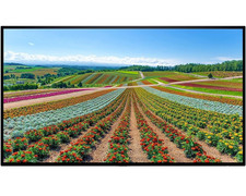 DELL U2722D 27" Inch 50-60Hz