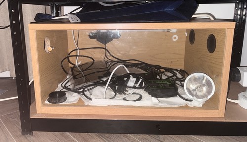 Wooden reptile vivarium - reptile,