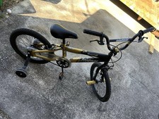 Avigo Extreme 20 in Kids Bike