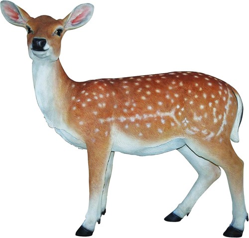 Vivid arts xrl deer size - xrl-deer-b, b