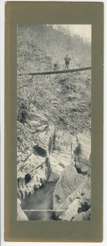 Aberystwyth parson bridge - parson’s,