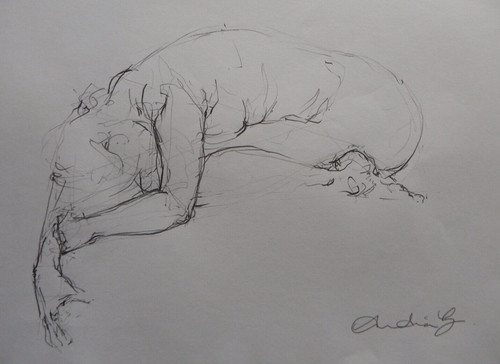Nude female pencil drawing - female,