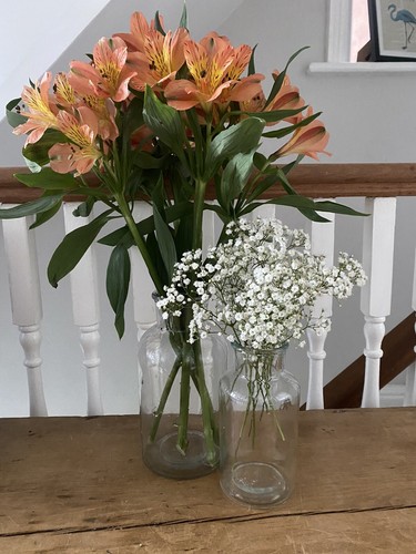 Botanical jar glass bottle - glass,