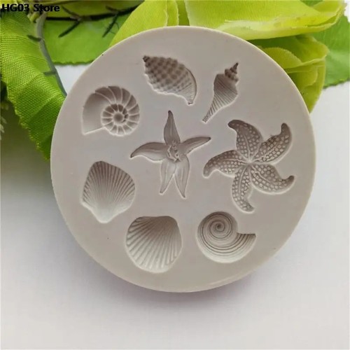 Sea shells animals fish - shells,