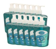 12 x Lavish Antibacterial Cool Menthol Hand Wash - 500ml Pack Cleansing