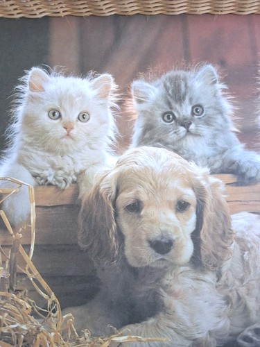 Vintage kitsch kittens - kitsch, &