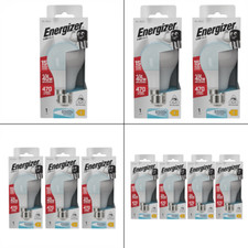 B22 LED Bulbs Daylight by