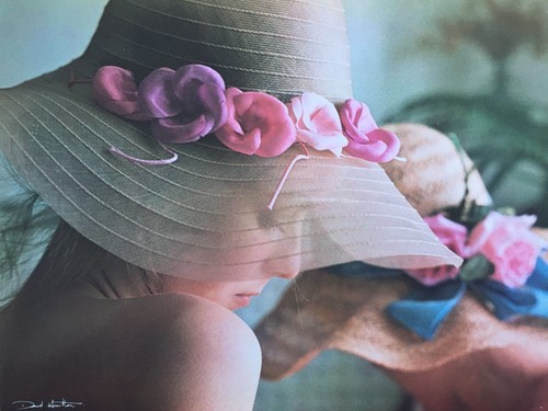 Postcard david hamilton size - david,