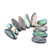 20x Abalone Guitar Marker