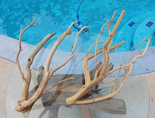Set large driftwood - of,