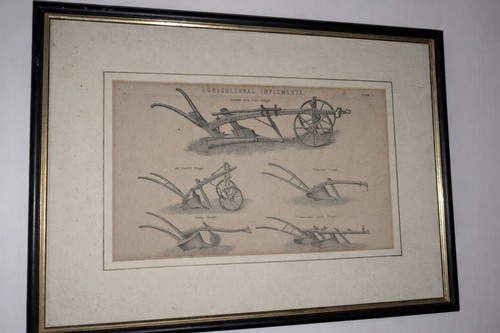 Vintage engraving agricultural - vintage,
