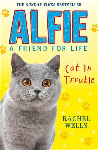 Alfie cat trouble rachel - alfie, trouble-rachel
