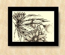 DIGITAL ART | Hidden Images