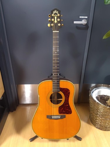 Guild d62 acoustic - guild, hg