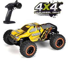 HBX 16889 RC Car Truck / FTX