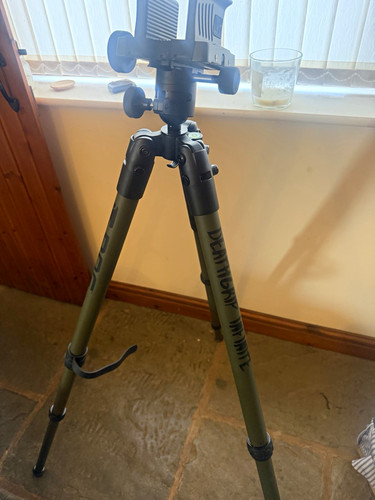 Bog infinite green adjustable - ,