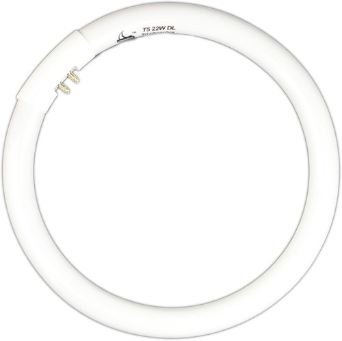 22w fluorescent round tube - 22w,