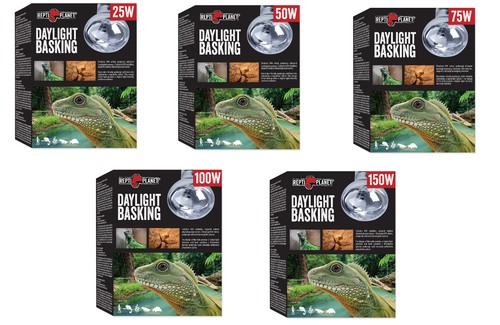 Repti planet daylight basking - repti,