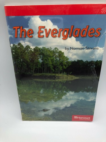 The everglades below - everglades, below-level