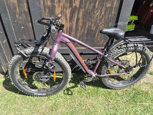 Fat bike - fat,