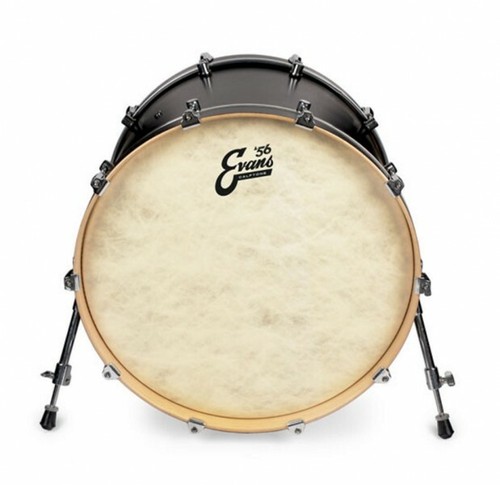 Evans calftone bass drum - 18",