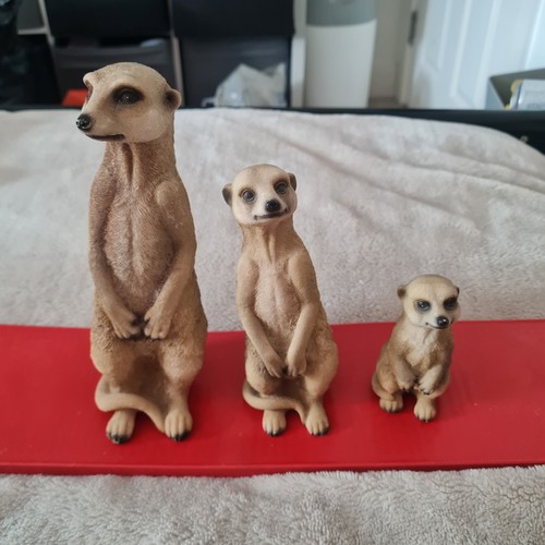 Trio meerkat statues - meerkat,