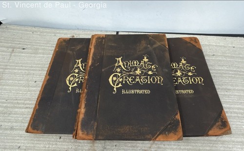 Animate creation volume set - animate,