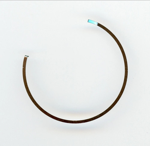 Bezel click spring fits - click,
