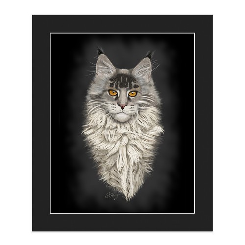 Signed maine coon cat pencil - maine,