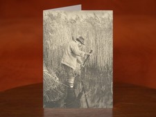 A Reed-Cutter at Work - A5