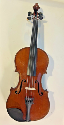 Salvadora durro violin - de,