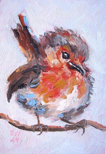 Robin original oil painting - original,