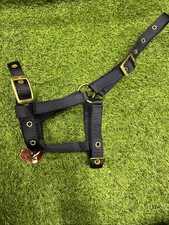Foal Headcollar