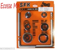 Suzuki RM125  Engine Seal Kit