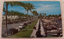 CHROME POSTCARD COCONUT PALMS