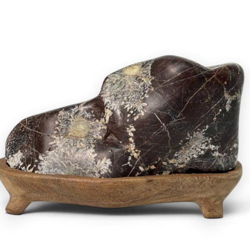 Suiseki chrysanthemum stone - chrysanthemum,