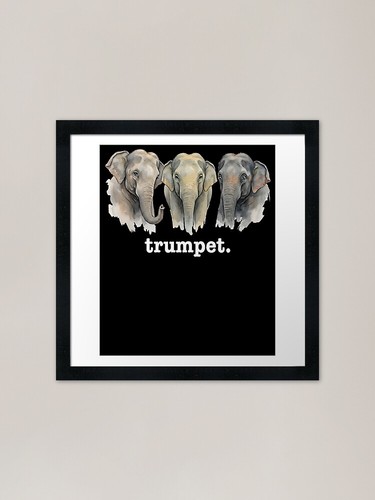 Elephants trumpet funny - elephants,
