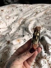 Energy Potion Bottle For Every