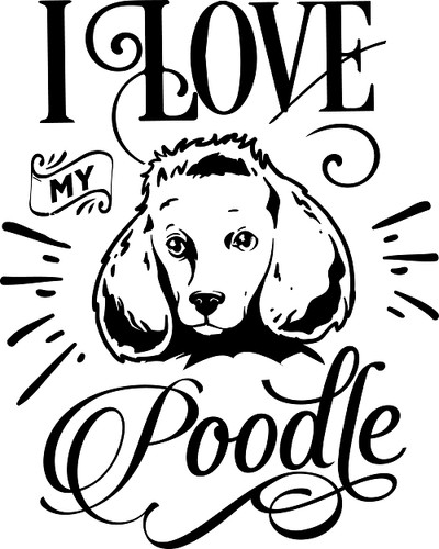 Decals beagle boston - decals, /