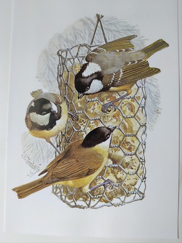 Tunnicliffe vintage bird - vintage,