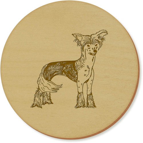 Chinese crested dog - crested, dog'