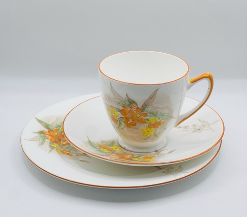 Shelley fine bone - china, tea