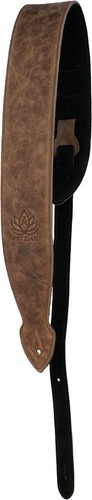 Ashbury artisan softy guitar - softy,