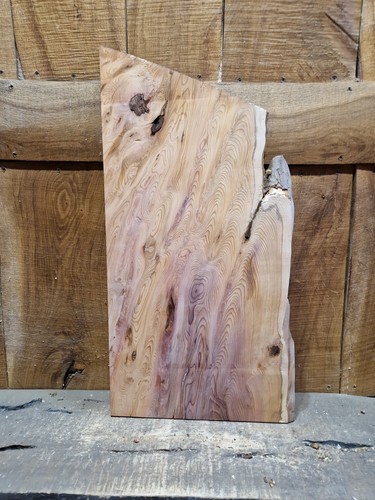 Live edge yew - slab, (370)