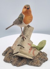 Border Fine Arts Robin on a