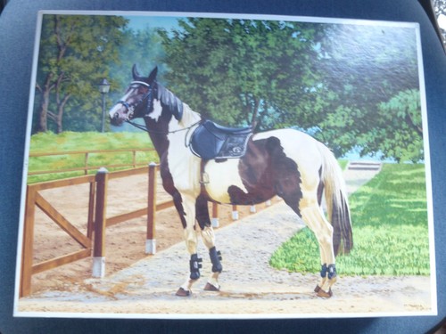 Jigsaw puzzle piebald horse - "piebald, horse"