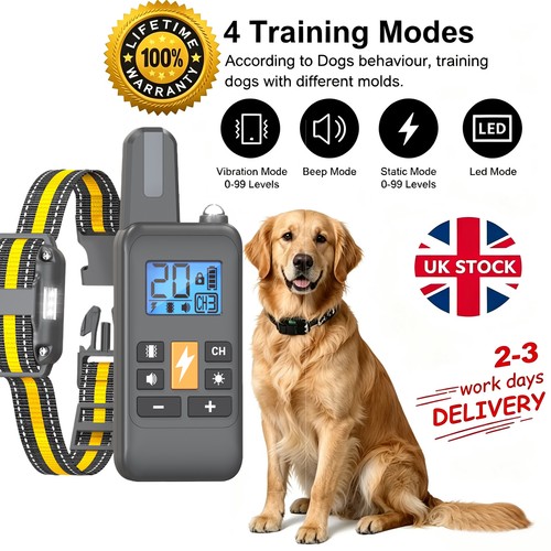 800m electric pet dog training - electric,