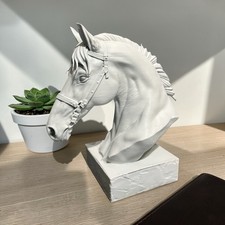 White horse head - white,