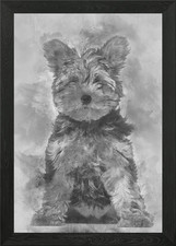 Yorkshire Terrier puppy 3