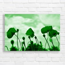 Red poppy floral moody sky - red,